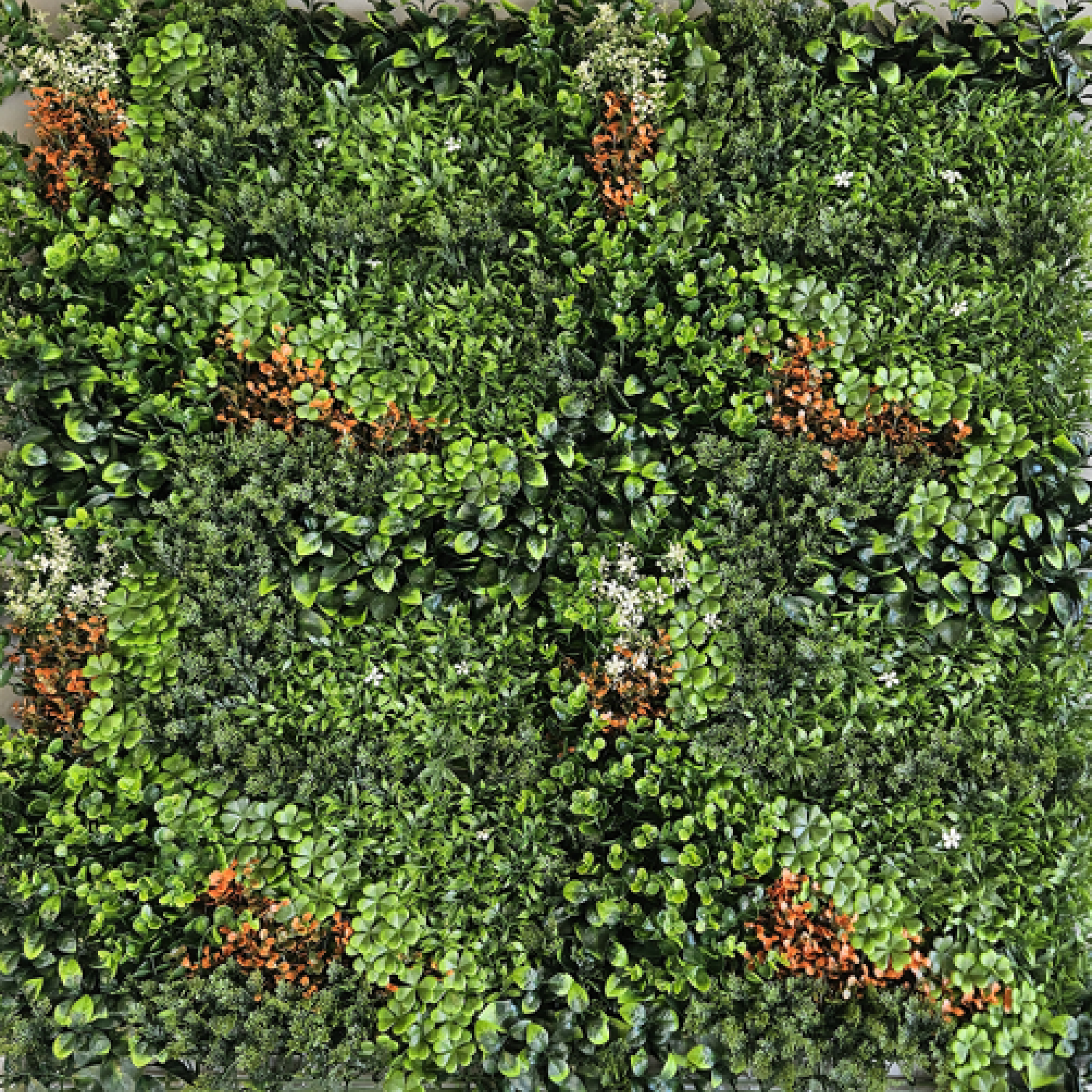 Künstliche Blumenwand Model 15